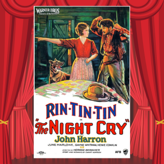 Poster for the film The Night Cry