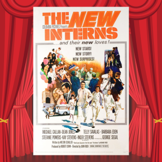 The New Interns Poster