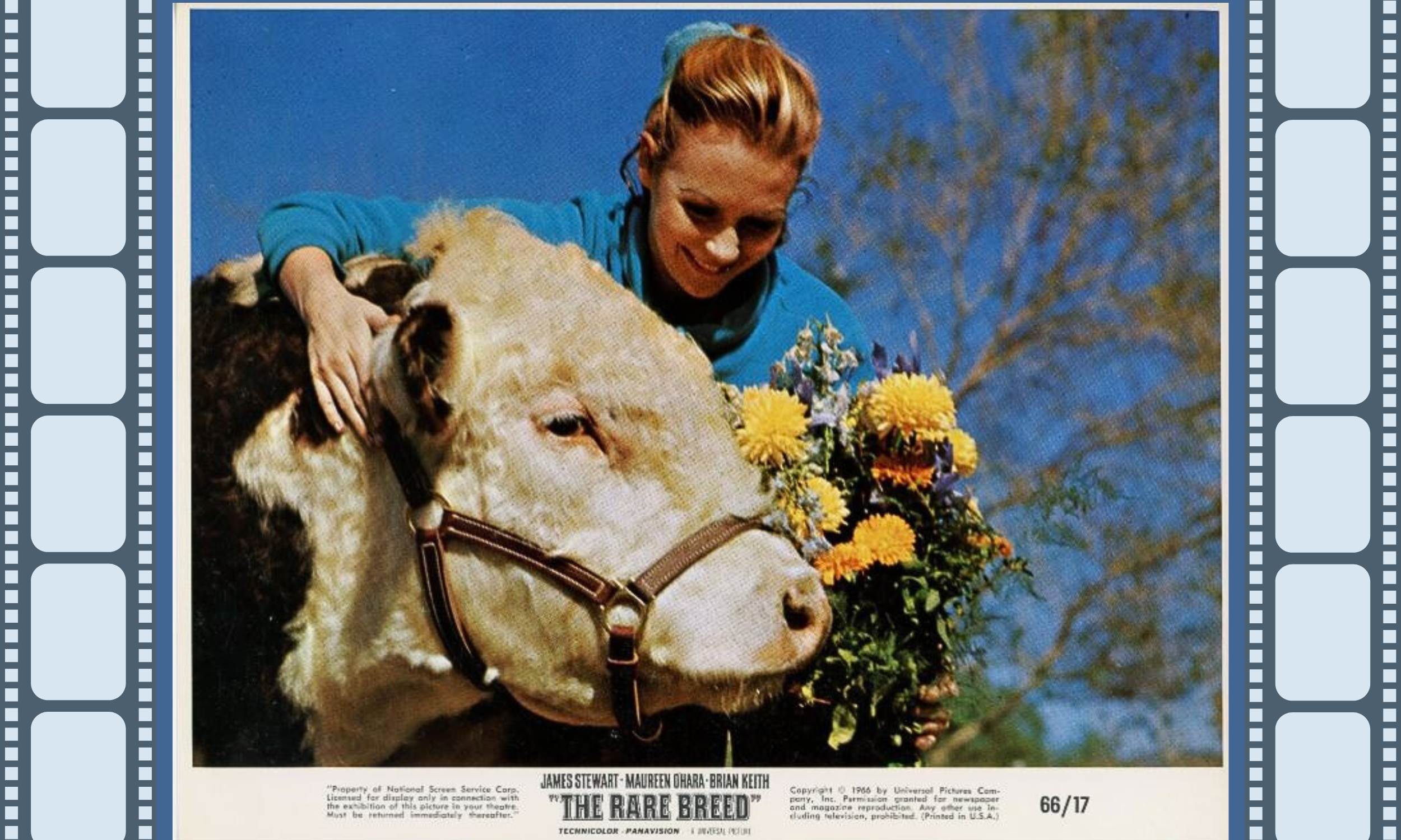 JulietMills_LobbyPoster Lobby Poster for The Rare Breed